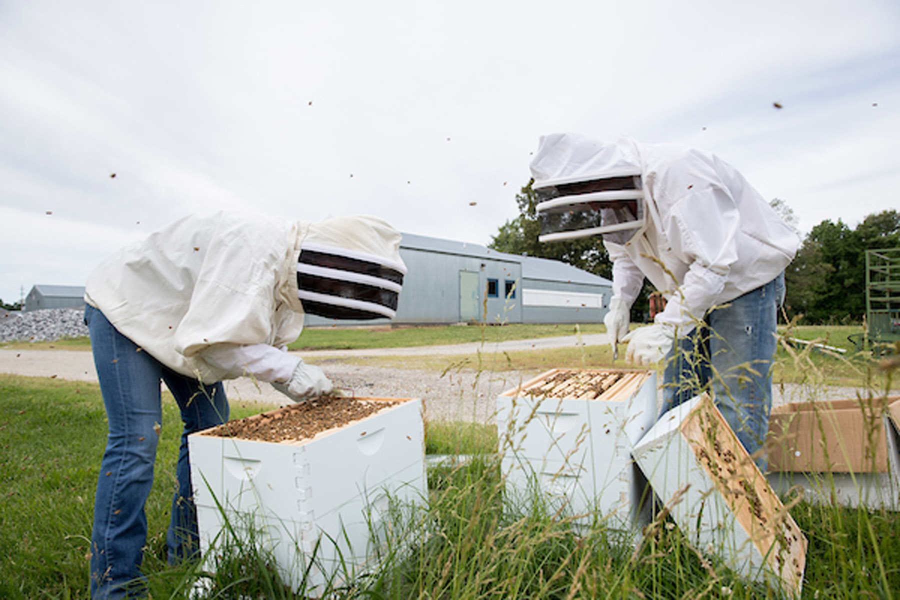 Image 05222017_BeeKeepers02.jpg