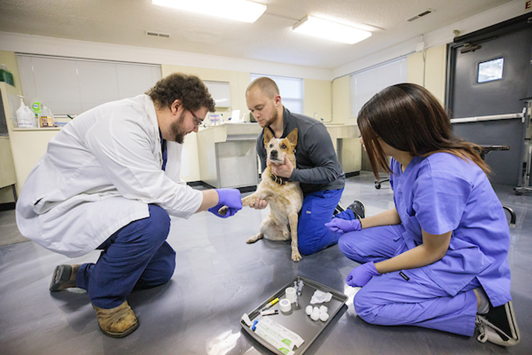 Image 11122019_VetTechMarketing065.jpg